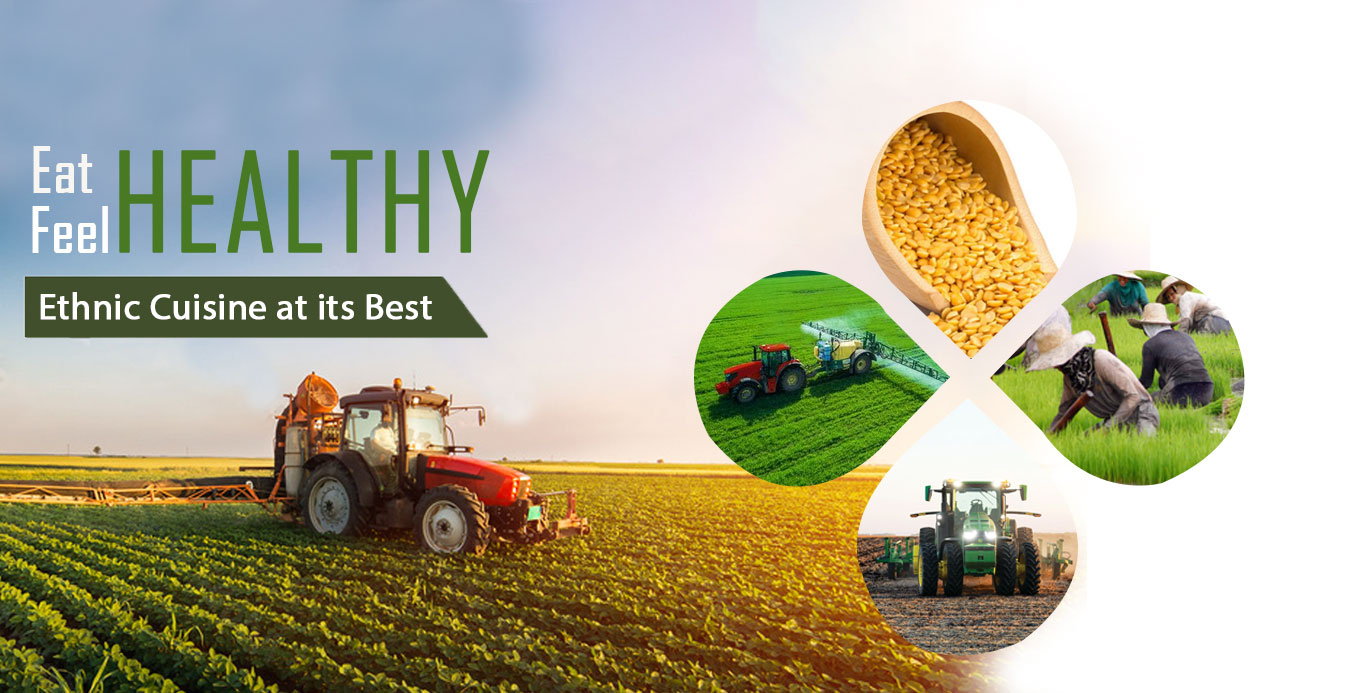 Arhar Dal supplier in India,Arhar Dal Suppliers in Delhi,Arhar Dal Manufacturers in India,Arhar Dal Suppliers in Delhi,Moong Dal Manufacturers in Delhi,Moong Dal supplier in India,Moong Dal supplier in Delhi,Urad Dal Manufacturers in Delhi | ⁠Manoj Food Products | https://manojfoodproducts.com 